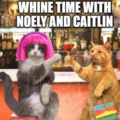 #AuspolPunters 12 MARRIAGE EQUALITY